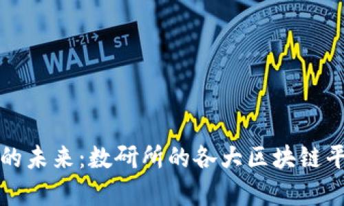 探索区块链的未来：数研所的各大区块链平台全景解析