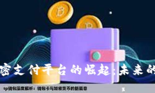 美国区块链加密支付平台的崛起：未来的支付解决方案