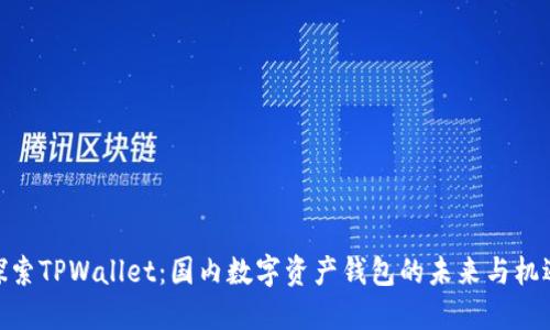 探索TPWallet：国内数字资产钱包的未来与机遇