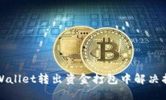 TPWallet转出资金打包中解决指南