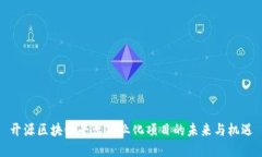 开源区块链平台商业化项目的未来与机遇