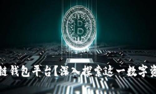什么是区块链钱包平台？深入探索这一数字资产管理工具