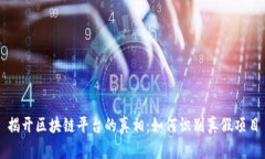 揭开区块链平台的真相：如何识别真假项目