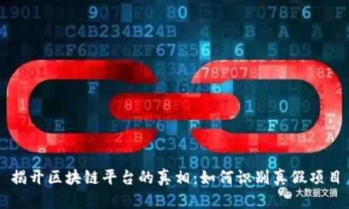 揭开区块链平台的真相：如何识别真假项目