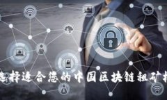 如何选择适合您的中国区块链租矿机平台