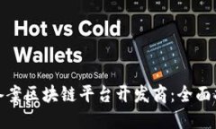 如何成功备案区块链平台开发商：全面指导与策