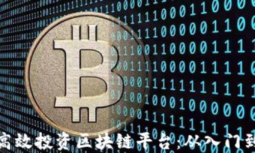 
如何高效投资区块链平台：从入门到精通