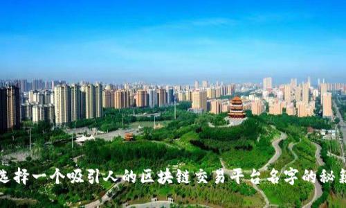 选择一个吸引人的区块链交易平台名字的秘籍