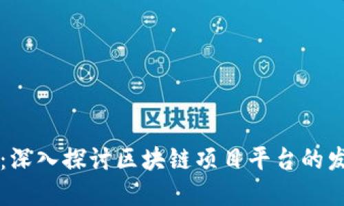 构建未来：深入探讨区块链项目平台的发展与应用