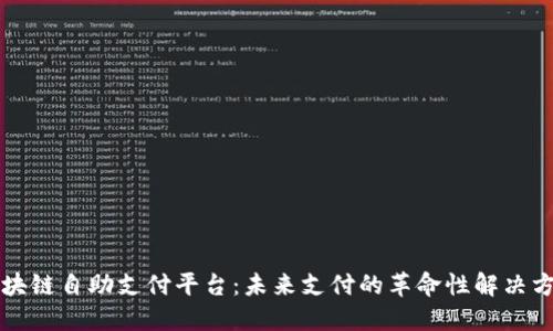区块链自助支付平台：未来支付的革命性解决方案