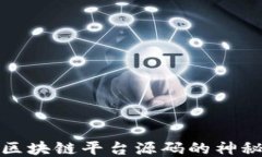 揭开区块链平台源码的神秘面纱