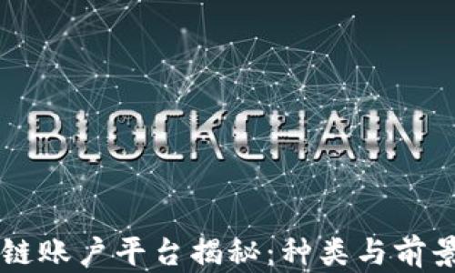 
区块链账户平台揭秘：种类与前景分析