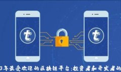 揭秘2023年最受欢迎的区块链平台：投资者和开发