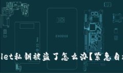 TPWallet私钥被盗了怎么办？紧急自救指南