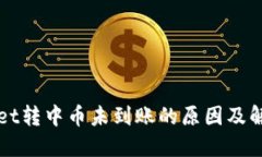 TPWallet转中币未到账的原因及解决方案