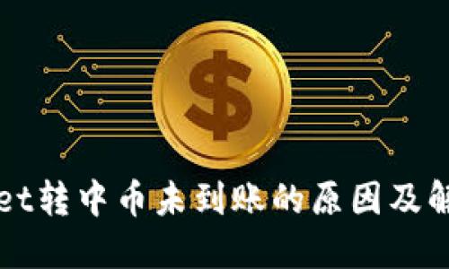 TPWallet转中币未到账的原因及解决方案