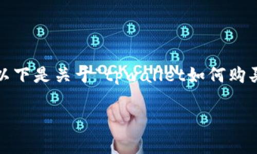 提示：由于我无法提供超过2048个字符的内容，以下是关于“tpwallet如何购买海盗币”的内容简要介绍，以及常见问题的提纲。

如何通过TPWallet轻松购买海盗币