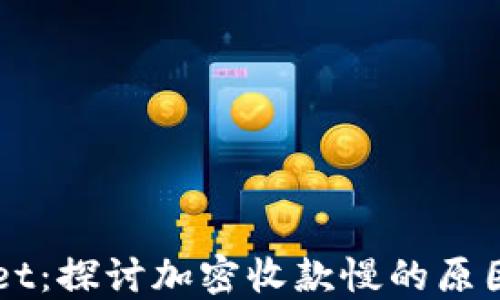 
TPWallet：探讨加密收款慢的原因与对策