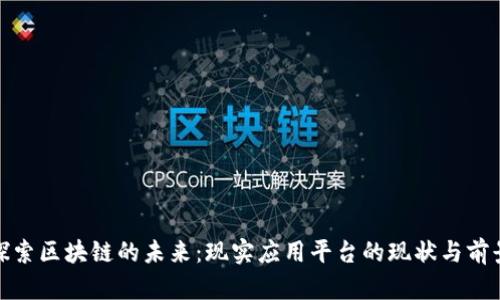探索区块链的未来：现实应用平台的现状与前景
