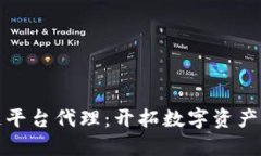 新加坡区块链平台代理：开拓数字资产时代的新