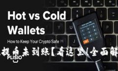 : TPWallet提币未到账？看这里！全面解决你的疑惑