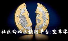 全面解析社区购物区块链平台：变革零售的未来