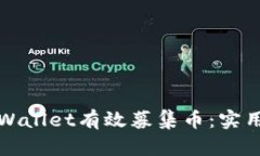 如何通过TPWallet有效募集币：实用指南与攻略