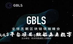 探索区块链PaaS平台项目：赋能未来数字化的崭新