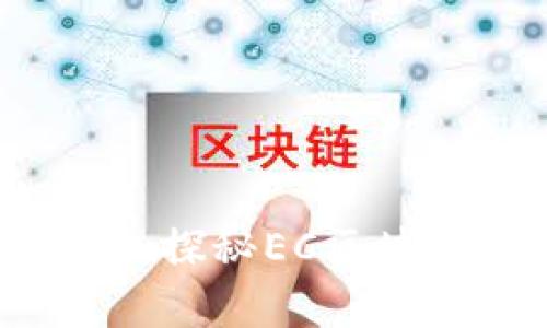 实现财富增长的未来：探秘EC区块链数字资产交易平台