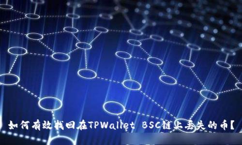 如何有效找回在TPWallet BSC链上丢失的币？