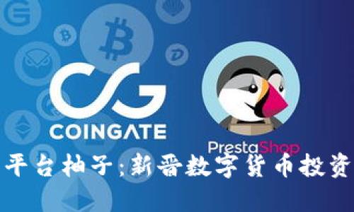 区块链交易平台柚子：新晋数字货币投资的实用之选