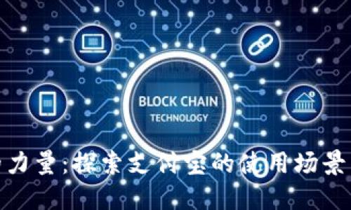 数字钱包的力量：探索支付宝的使用场景与实用价值