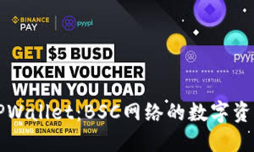 深入了解TPWallet：BSC网络的数字资产管理利器