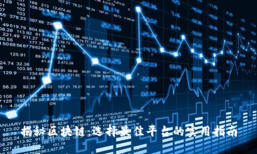 揭秘区块链：选择最佳平台的实用指南