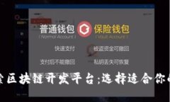 深入探索区块链开发平台：选择适合你的技术栈