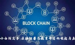 从小白到高手：区块链普及教育平台的崛起与未