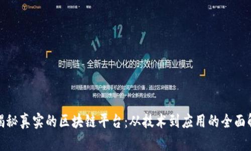 : 揭秘真实的区块链平台：从技术到应用的全面解析