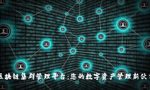 区块链集群管理平台：您的数字资产管理新伙伴
