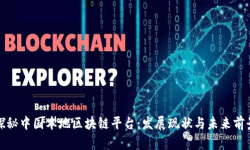 探秘中国本地区块链平台：发展现状与未来前景