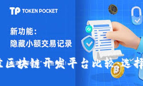 : 2023年最佳区块链开发平台比较：选择你的理想起点