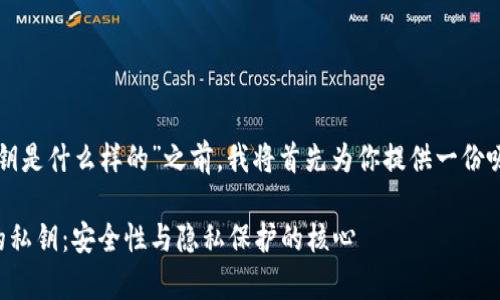 在讨论“tpwallet的私钥是什么样的”之前，我将首先为你提供一份吸引人的和相关关键词。

: 深度解析TPWallet的私钥：安全性与隐私保护的核心