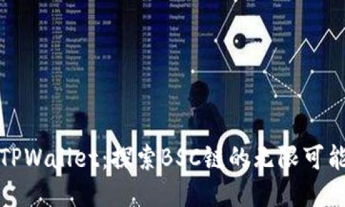 TPWallet：探索BSC链的无限可能