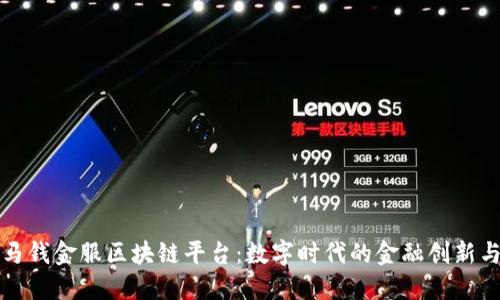 探索马钱金服区块链平台：数字时代的金融创新与变革