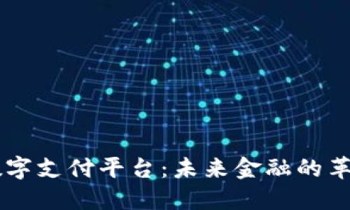 区块链数字支付平台：未来金融的革命性变革