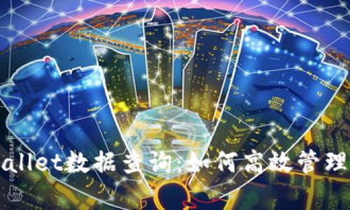 全面解析TPWallet数据查询：如何高效管理您的数字资产