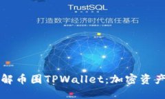 ### 深入了解币圈TPWallet：加密资产管理的新选择