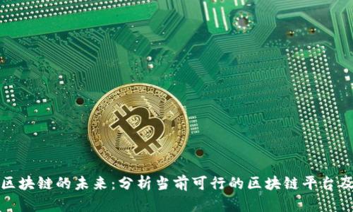 : 探索区块链的未来：分析当前可行的区块链平台及其潜力