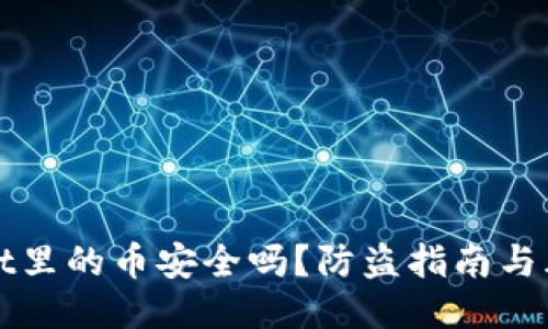 TPWallet里的币安全吗？防盗指南与风险管理