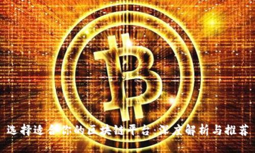选择适合你的区块链平台：深度解析与推荐