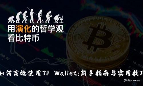 如何高效使用TP Wallet：新手指南与实用技巧